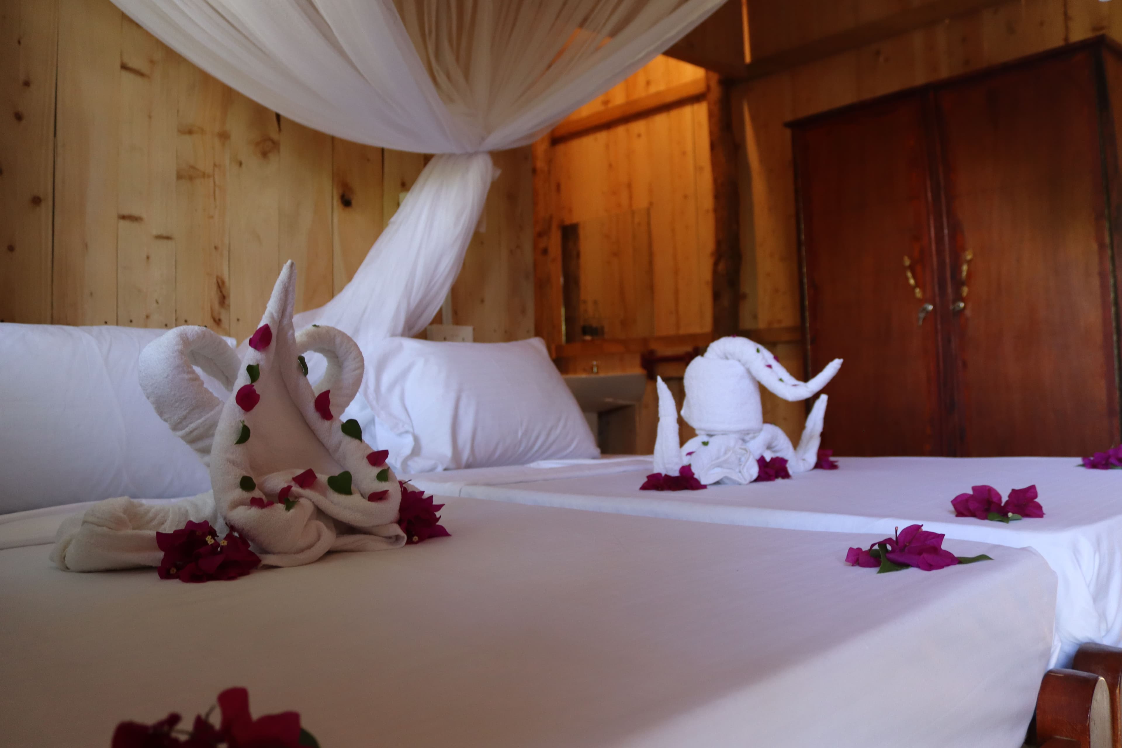 Eco-lodge rooms with mangrove creek views at Prawns Lake Watamu