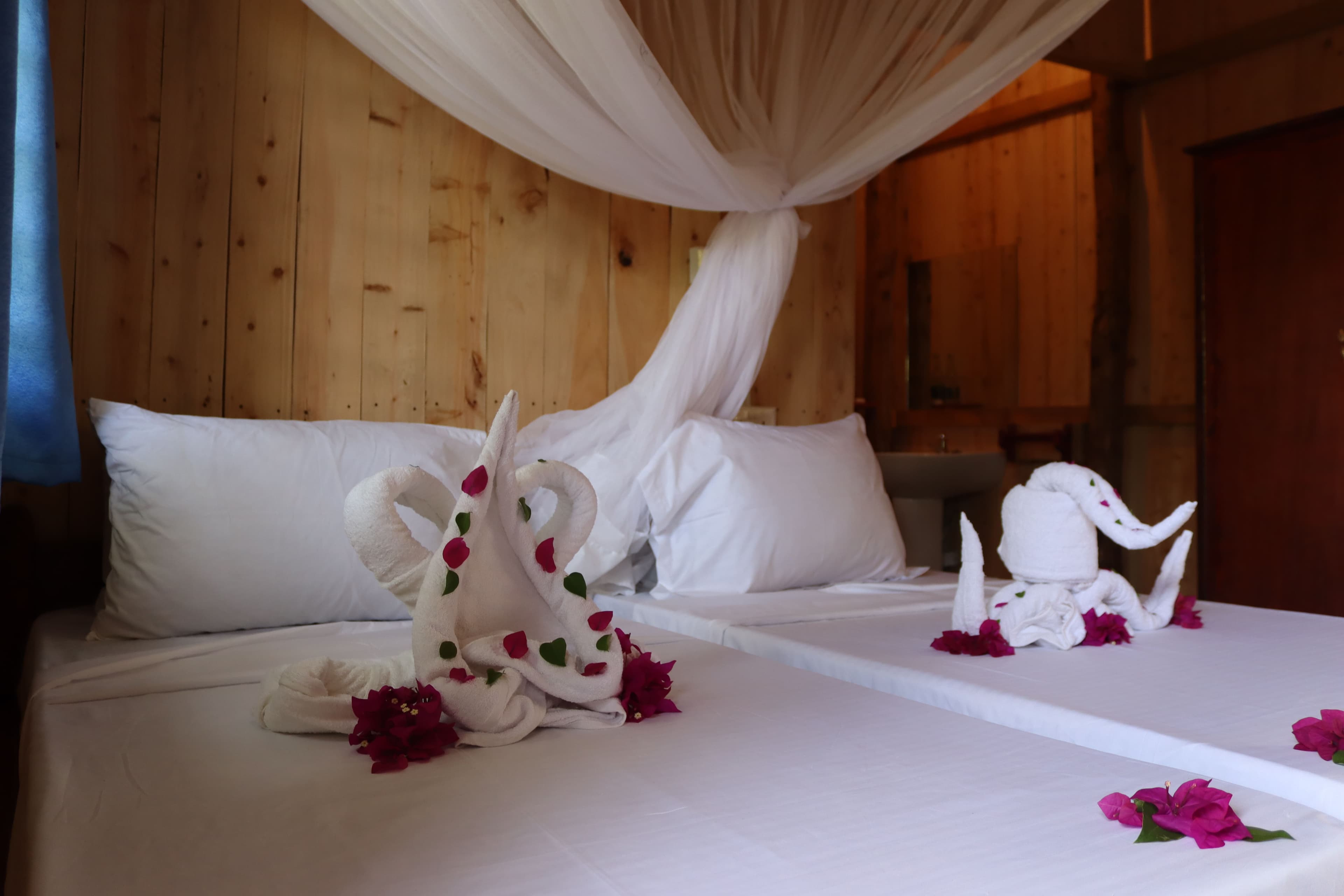 Eco-friendly accommodation mangrove views Prawns Lake Watamu