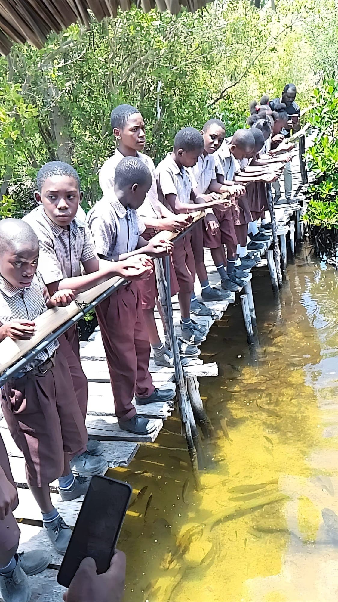 School children on mangrove field trip at Prawns Lake Watamu