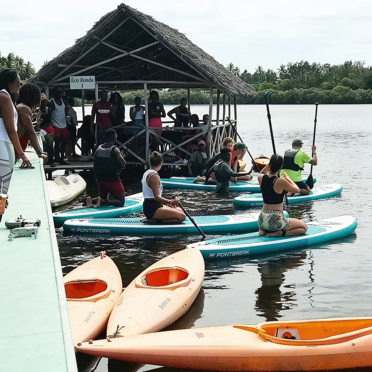 Mangrove Kayaking