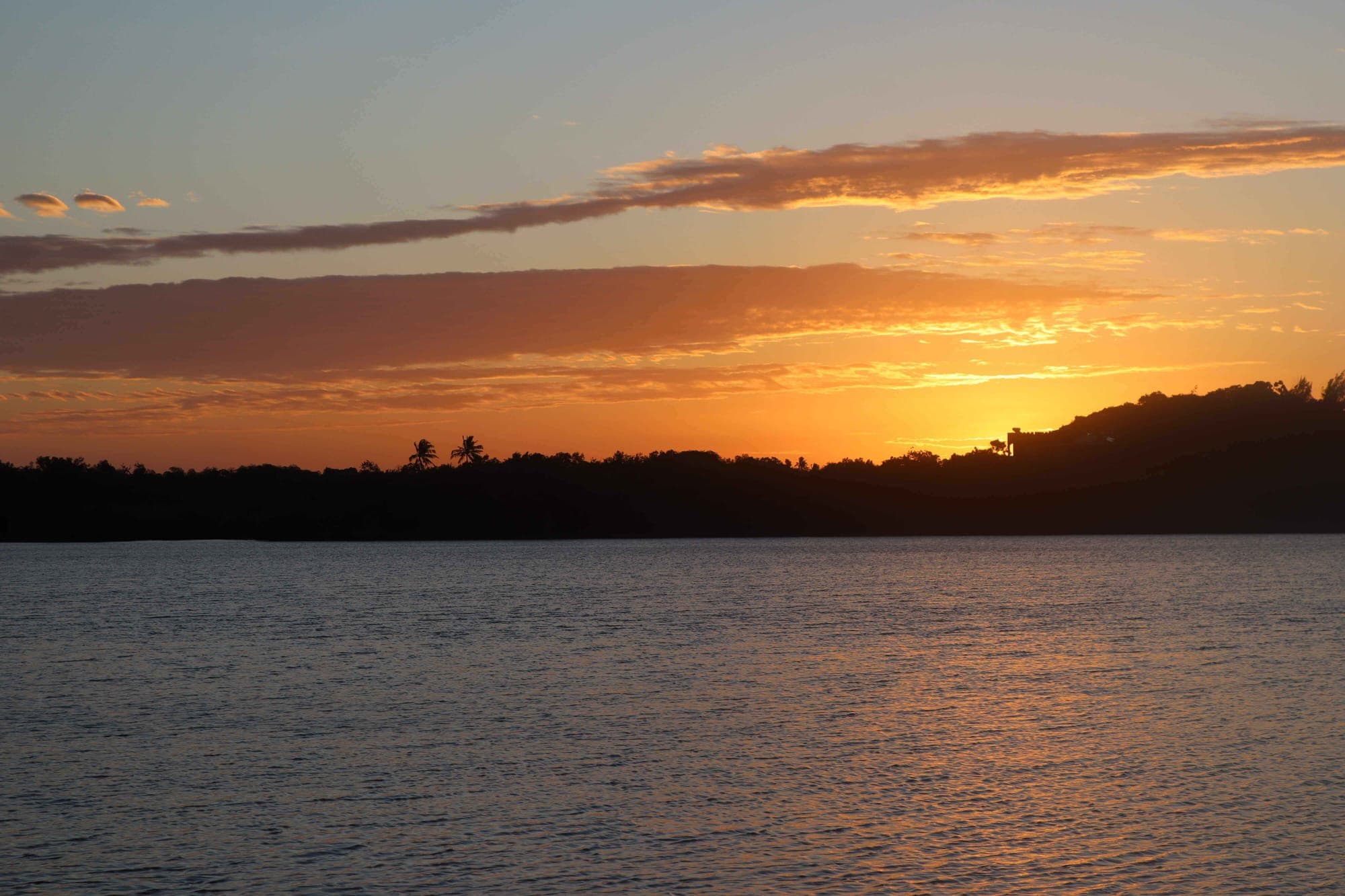 Sunset boat tour over mangrove creek at Prawns Lake Watamu