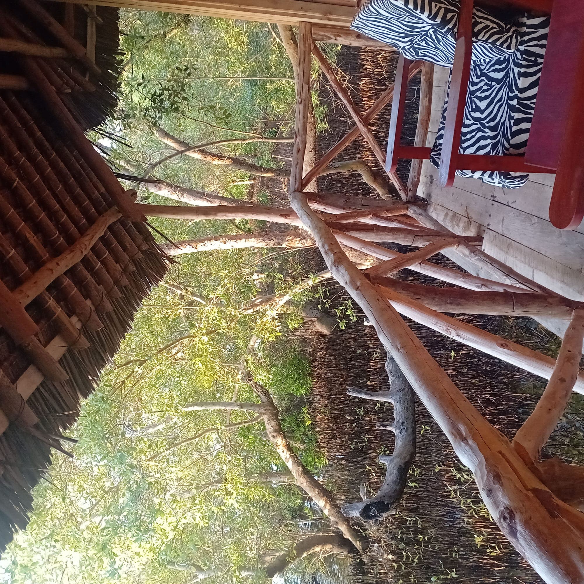 Guest enjoying sunrise from room balcony at Prawns Lake